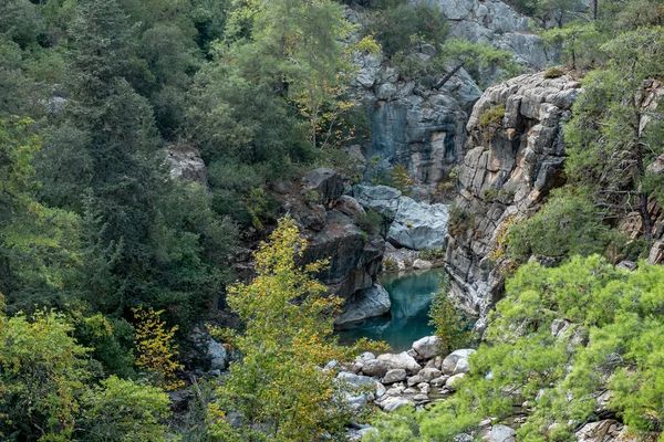 Paesaggio Con Piccolo Fiume Montagna Uno Stretto Canyon Boscoso Nelle — Foto Stock