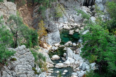 Kayalık bir nehir yatağında deresi olan dağ manzarası