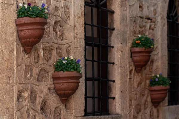 Sadzarka Kwiatami Zewnętrznej Ścianie Starożytnego Budynku Zabytkowym Centrum Miasta — Zdjęcie stockowe