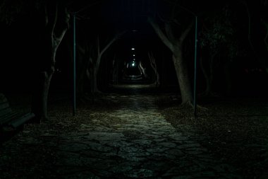 Parktaki karanlık sokak, nadir bulunan fenerlerin ışığıyla zar zor aydınlanıyor..