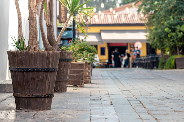 размытый пейзаж приморского туристического города, сосредоточьтесь на ваннах с деревьями на переднем плане