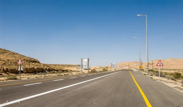 Akta dig för kameler nära de road — Stockfoto