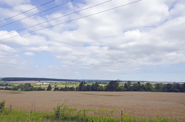 Boerderij veld — Stockfoto