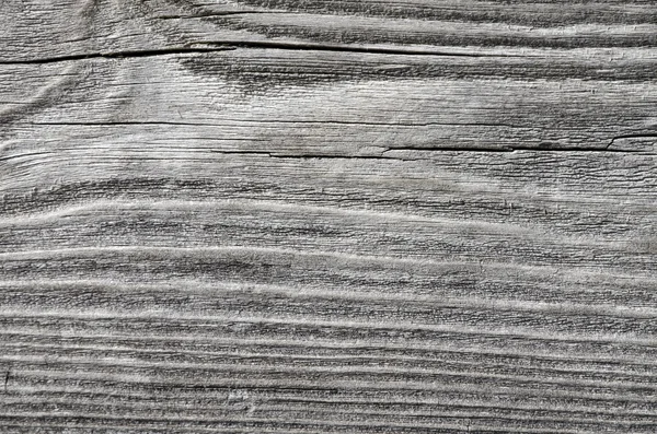 Ξηρό ξύλο υφή — Φωτογραφία Αρχείου