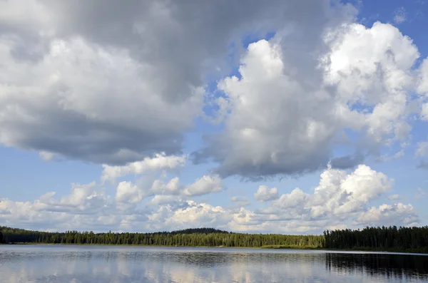 Lesní jezero — Stock fotografie