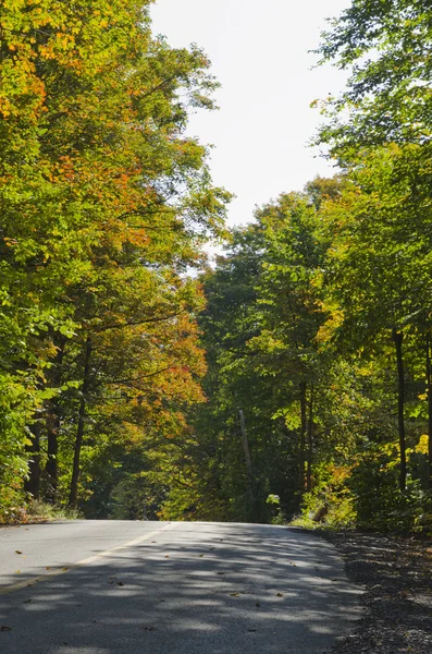 Shadow on the road — Stock Photo, Image