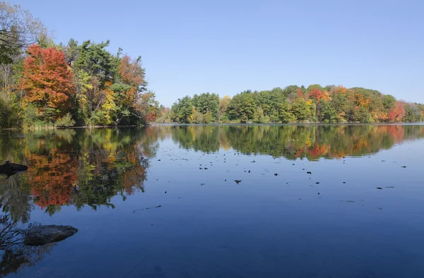 Bond lake — Stockfoto