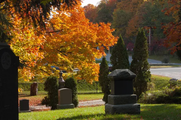 Colorful autumn trees — Stock Photo, Image