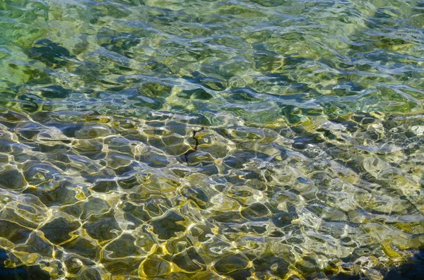Gröna och blå vatten — Stockfoto
