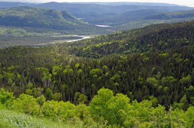 Gros morne Milli Parkı
