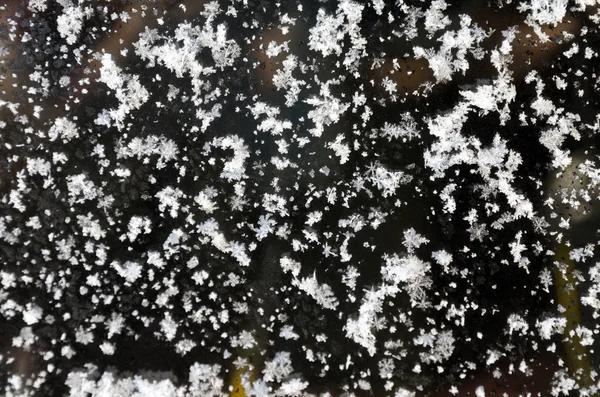 Snöflingor — Stockfoto