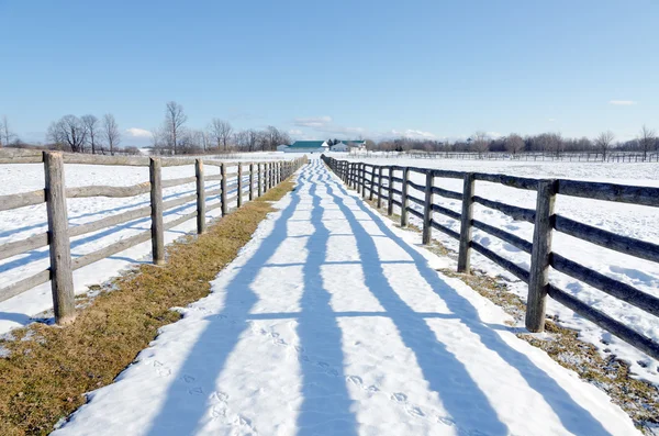 Boerderij in de winter — Stockfoto