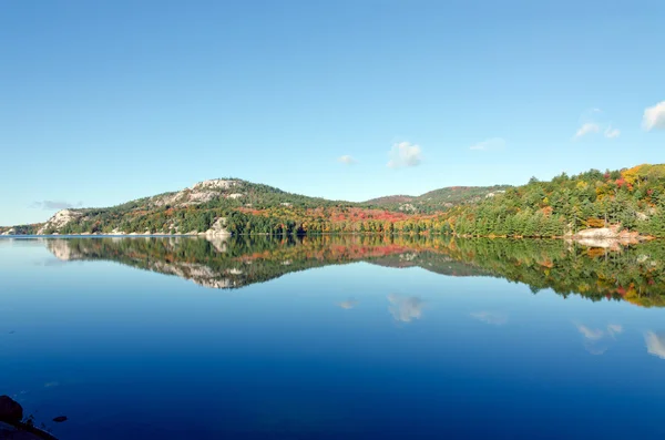 Lago del bosque — Foto de Stock