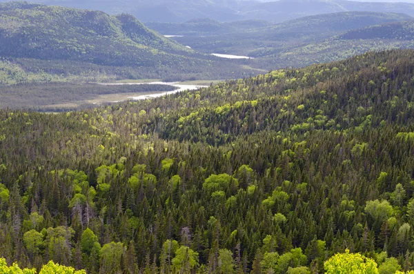 Parque Nacional Gros Morne — Fotografia de Stock