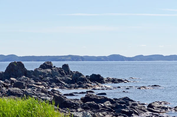 Newfoundland kıyıları — Stok fotoğraf