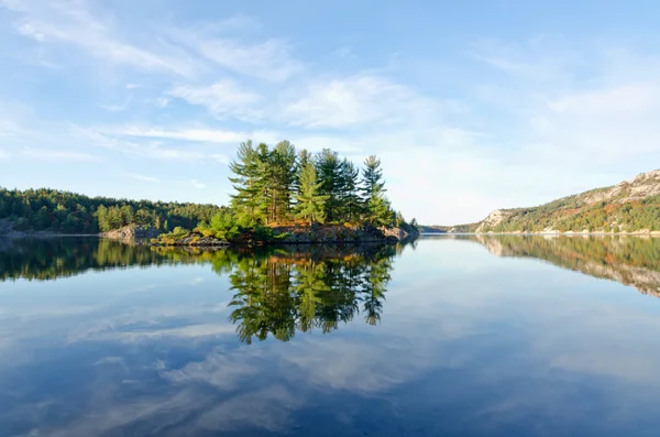 Lago del bosque — Foto de Stock