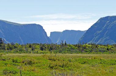 Gros morne Milli Parkı