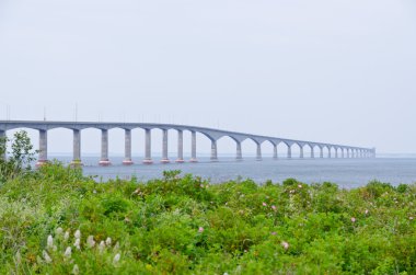 Briç Konfederasyonu