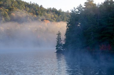 Orman göl üzerindeki gündoğumu