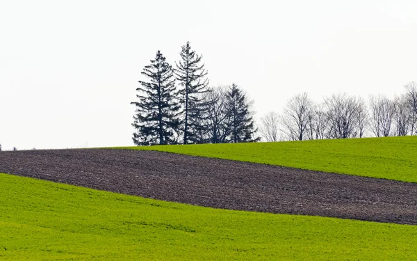 Cultivated farmers field — Stock Photo, Image