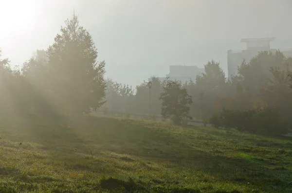 Fog above green grass — Stock Photo, Image