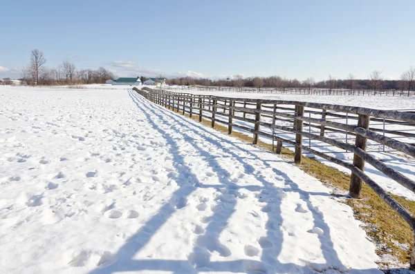 Boerderij in de winter — Stockfoto