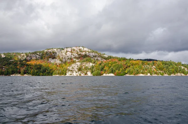 Forest lake — Stock Photo, Image