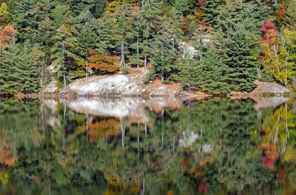 Alba sopra il lago foresta — Foto Stock