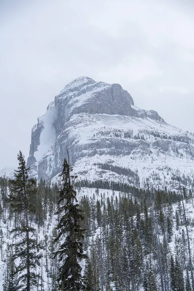 Rocky Mountains Kootenay Park British Columbia Kanada — Stockfoto