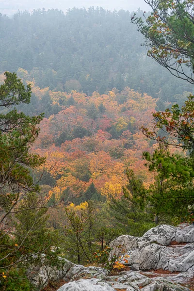가을이 캐나다 킬라니 공원에 암석들 나무들 — 스톡 사진