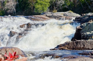Superior Gölü İl Parkı, Kanada 'daki kayaların üzerinde çağlayan su.