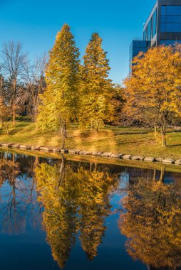 Sonbaharda göletin yanında iş binası. Markham, Kanada