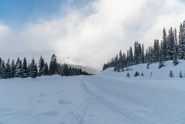 Jasper Park 'ın kışın buz tarlaları boyunca manzarası Pkwy