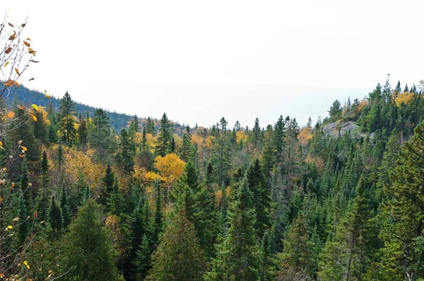 Sonbahar Superior Gölü Yakınlarındaki Parkta Renkli Ağaçlar Ontario Kanada — Stok fotoğraf