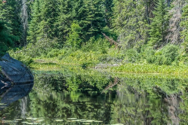 Lac Forestier Été Grundy Lake Park Canada — Photo