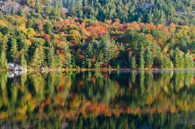 Killarney Park, Kanada 'da Orman Gölü' nün üzerinde gün doğumu