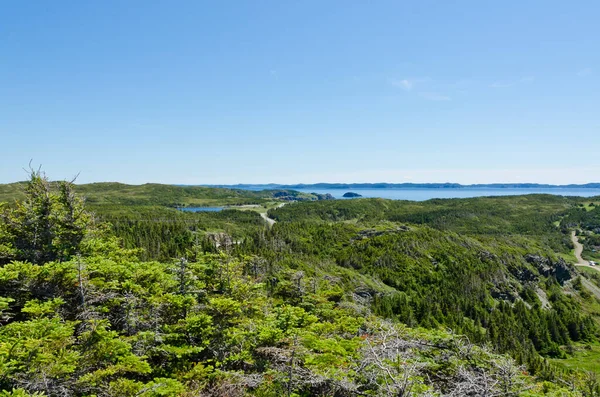 Die Küste Von Neufundland Kanada Bei Sonnigem Tag — Stockfoto
