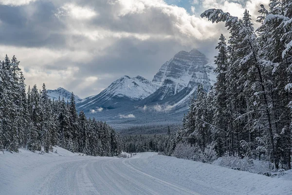 Vistas Del Parque Jasper Largo Los Campos Hielo Pkwy Invierno — Foto de Stock