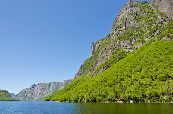 Western Brook Pond Newfoundland Kanada — Stok fotoğraf