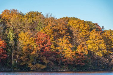 Richmond Hill Gölü, Kanada Sonbahar sezonu boyunca