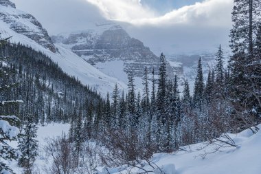 Banff Park 'ta Louise Gölü, Alberta, Kanada