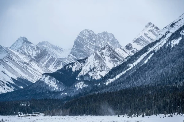 Kananaskis País Invierno Alberta Canadae — Foto de Stock