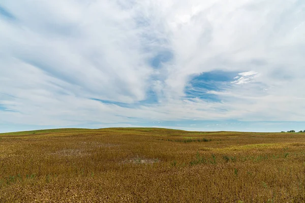 Farm Field Blue Sky Clouds Muskoka Canada — Stock Photo, Image