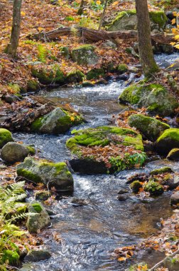 Superior Gölü İl Parkı, Kanada 'daki kayaların üzerinde çağlayan su.