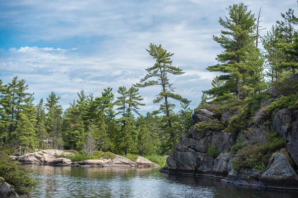 夏時間の森林湖 グランディ湖公園 カナダ — ストック写真