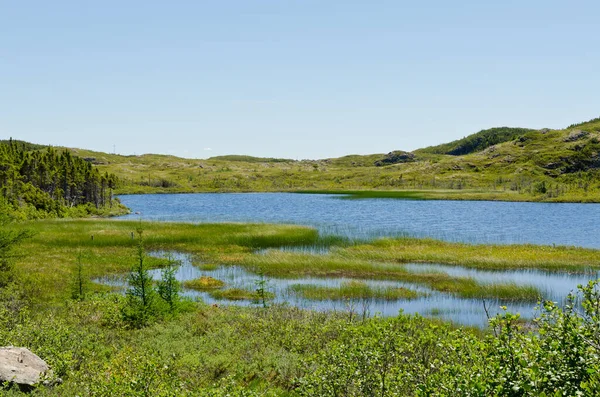 Lake Newfoundland Canada Zomer — Stockfoto