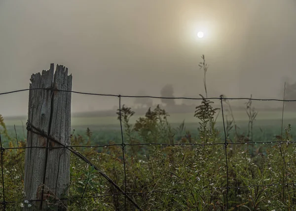 午前中は強い霧と田舎の農場 — ストック写真