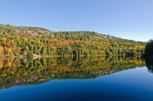 Lever Soleil Dessus Lac Forestier Dans Parc Killarney Canada — Photo