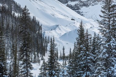 Banff Park 'ta Louise Gölü, Alberta, Kanada