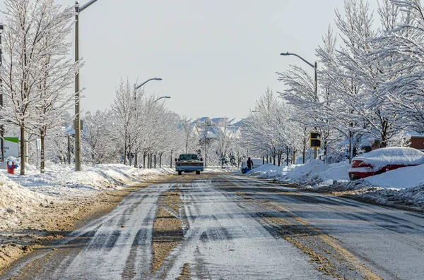 Alberi Strade Della Città Canadese Dopo Una Tempesta Pioggia Gelida — Foto Stock